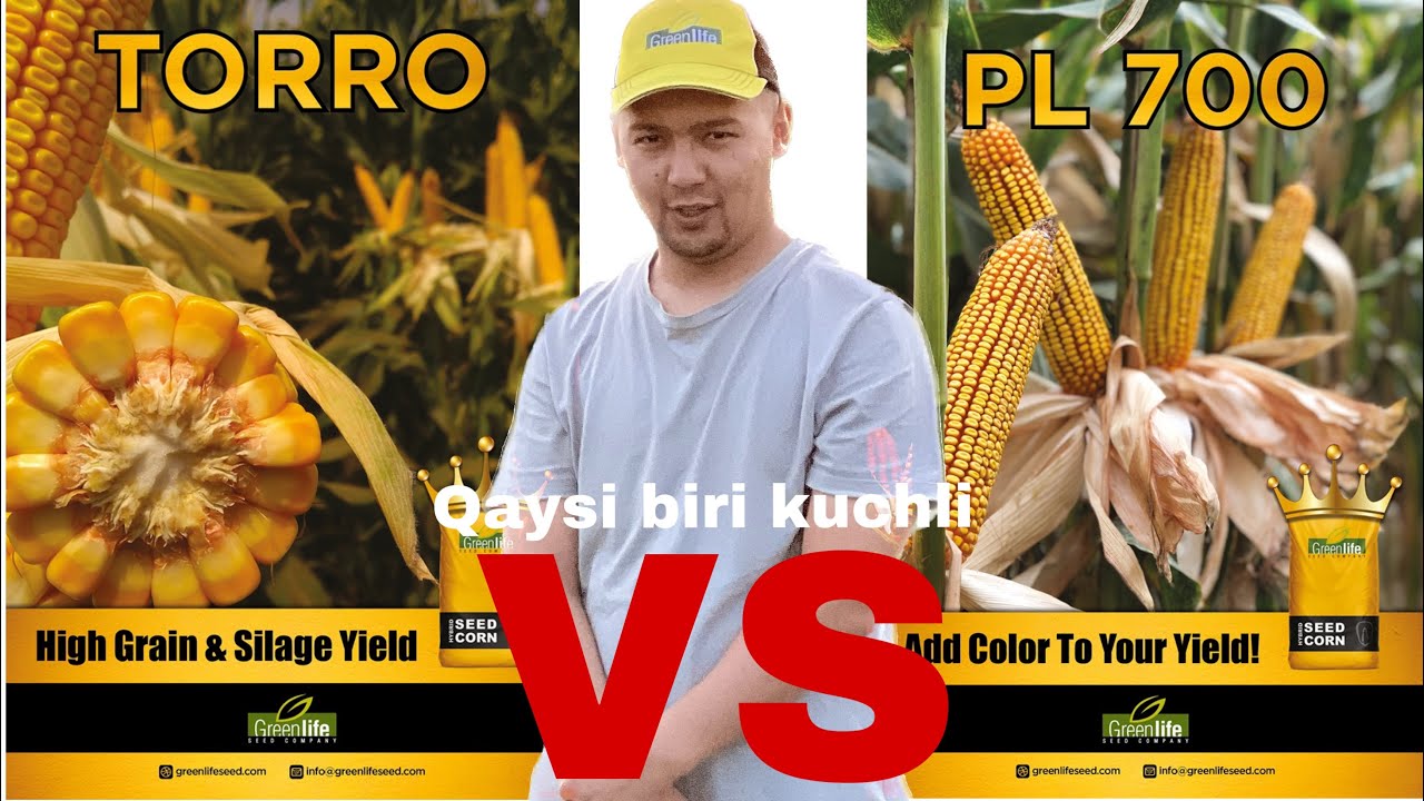 Donli makka . Qaysi biri kuchli battle