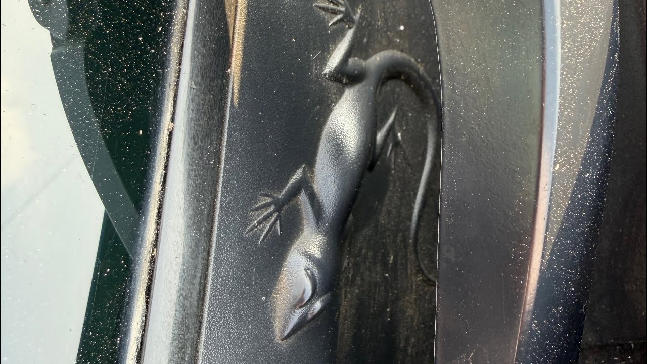Jeep compass have Easter eggs hidden 🐉🐉🦎🦎