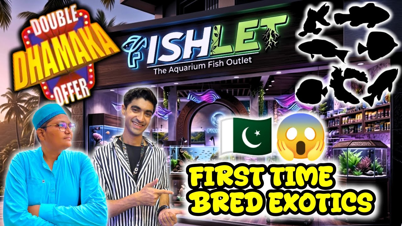 How to Buy Rare Exotic Fish in Pakistan? Fishlet Lalukhet Massive Update! 🐠