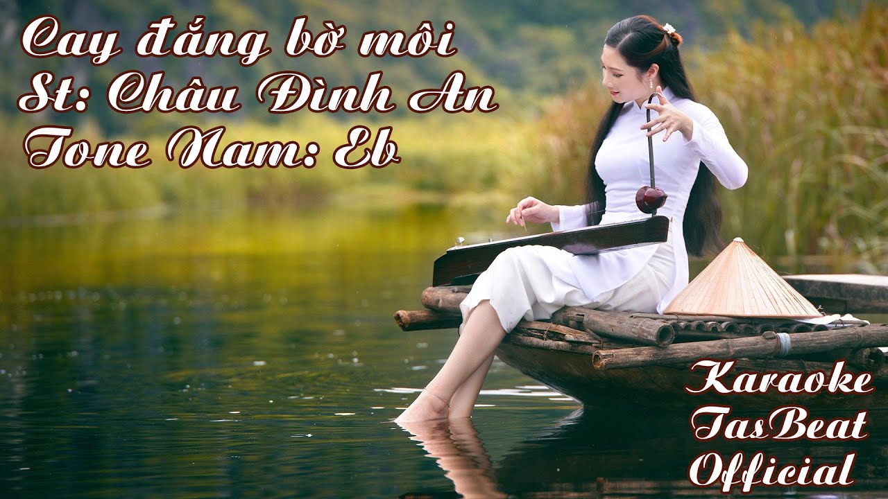 Karaoke Cay Đắng Bờ Môi Tone Nam | TAS BEAT