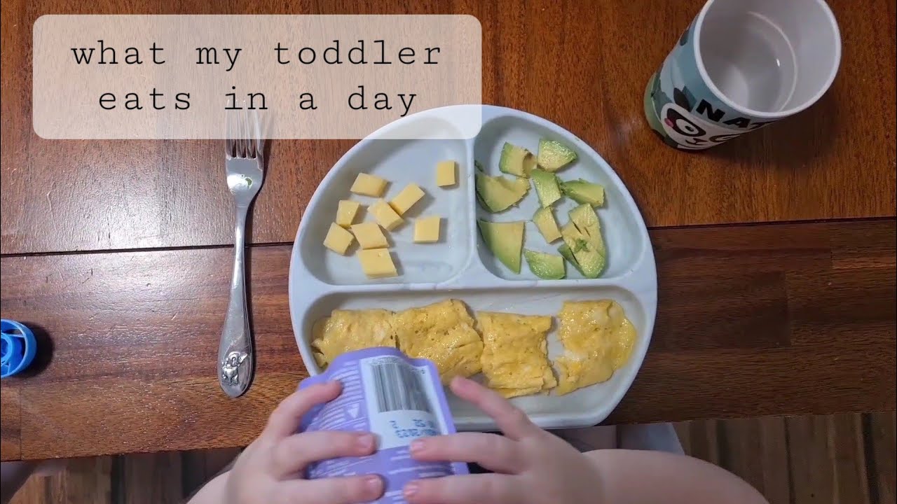 What my toddler eats in a day [2YO]