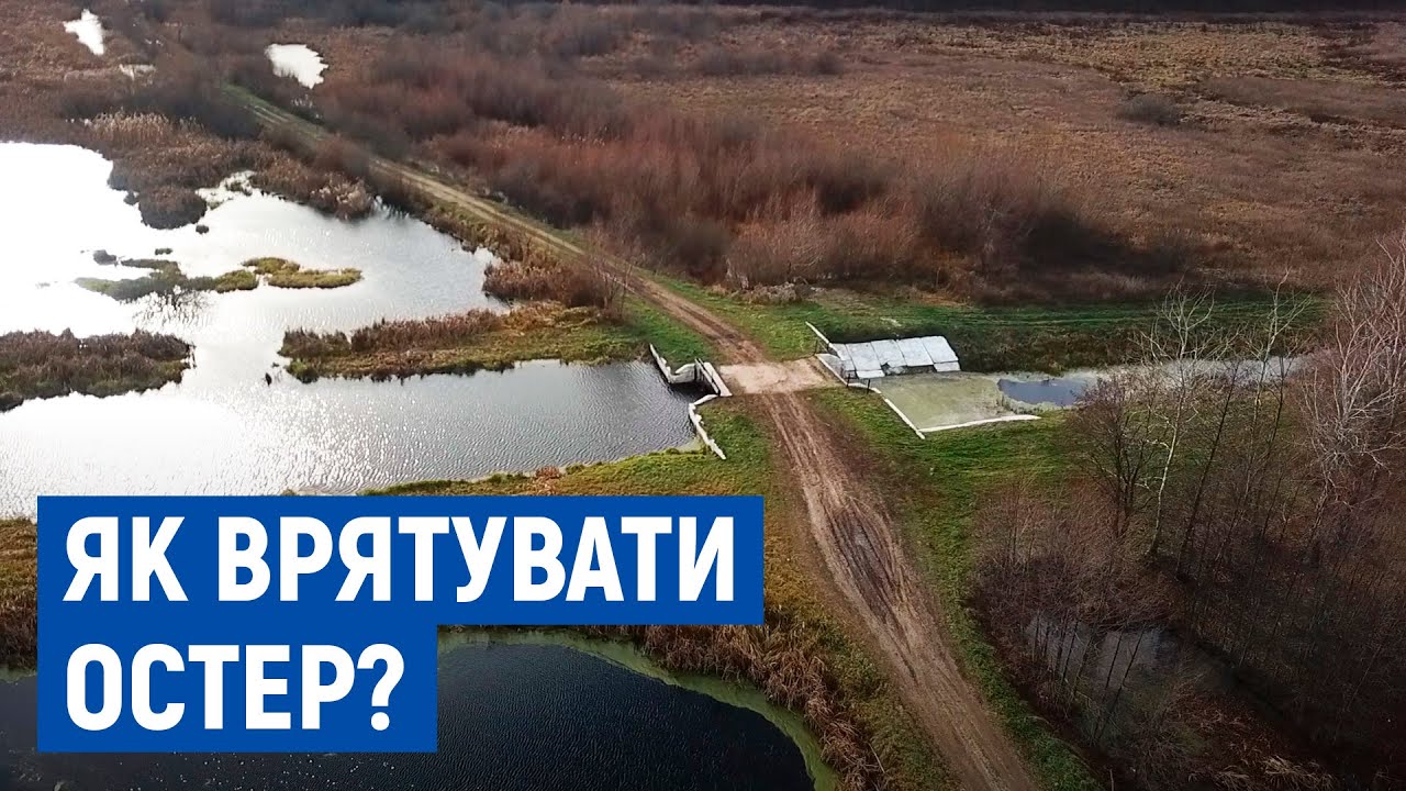 Зникає течія, місцями пересихає: як врятувати річку Остер