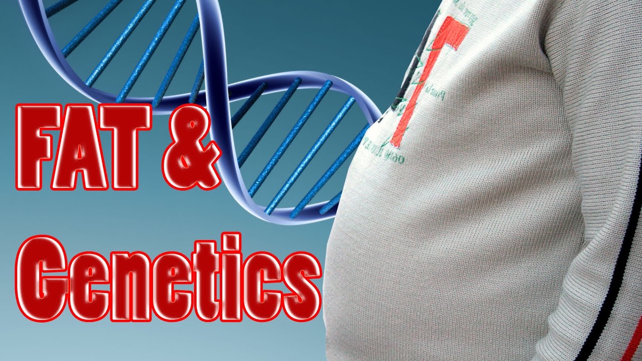 Is Being Fat Genetic? Does a Fat Gene make us overweight or obese? Psychetruth Nutrition