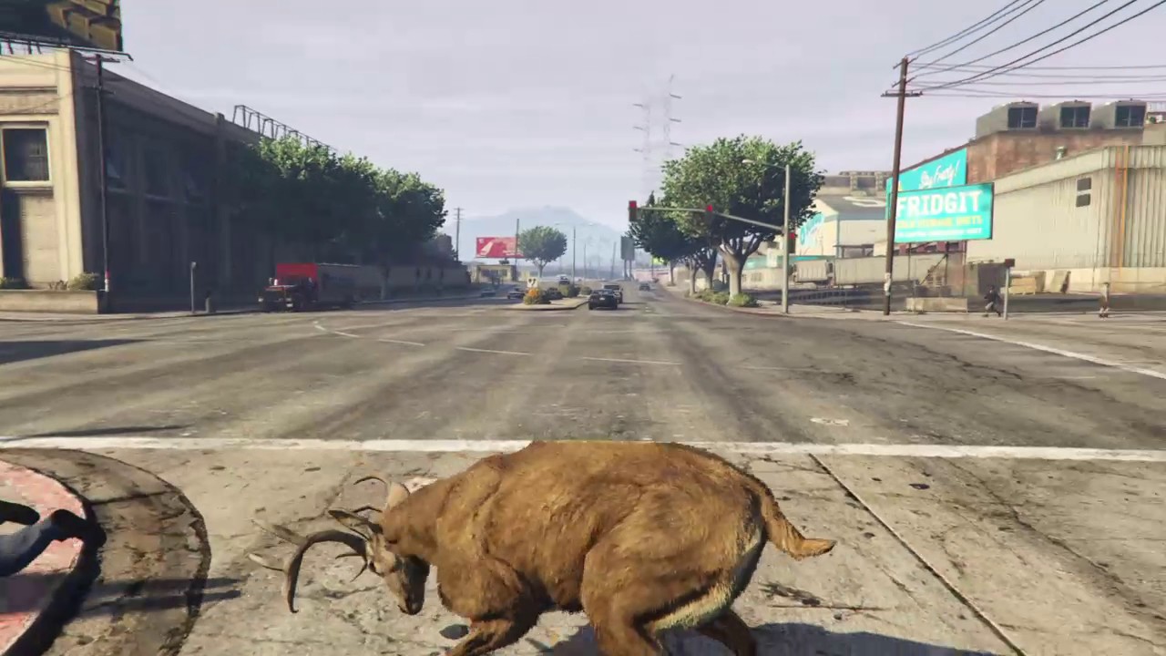 Grand Theft Auto V deer