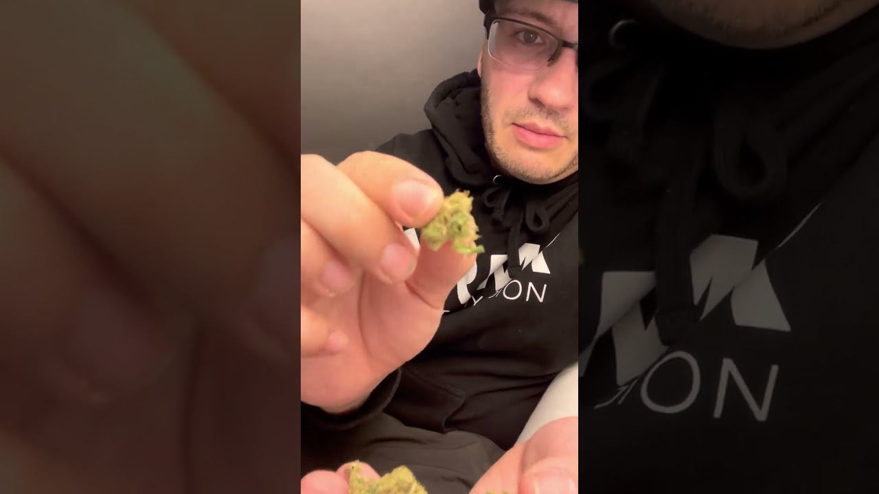 Ithaca Cannabis Co. Ithaca OG Strain Review Ft. Union Square Travel Agency in New York City