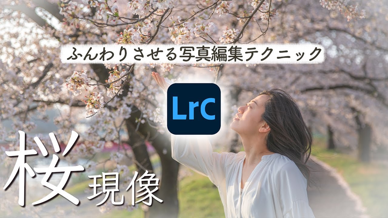 Lightroomで桜写真現像【ふんわり・ゆるふわ編集方法】