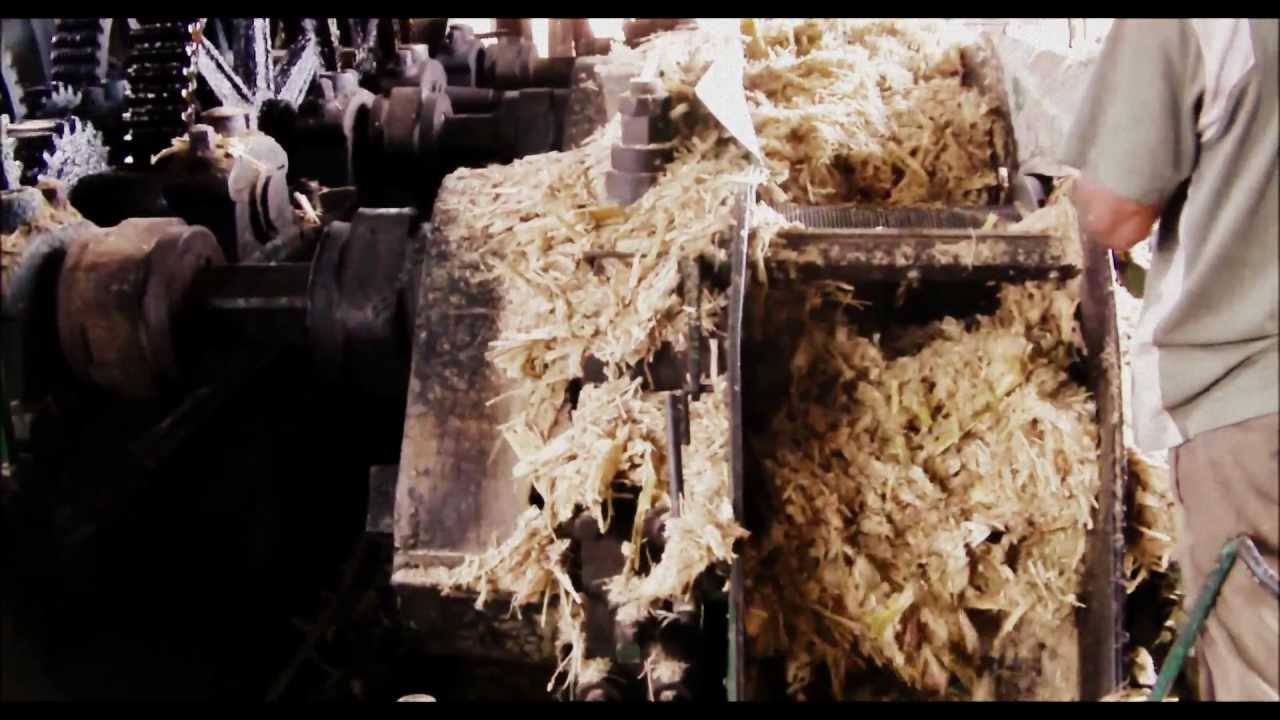 Distillerie Longueteau [Documentaire]