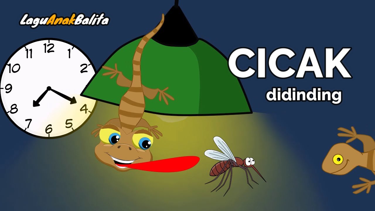 CICAK CICAK di dinding terbaru 2023 - Lagu anak balita