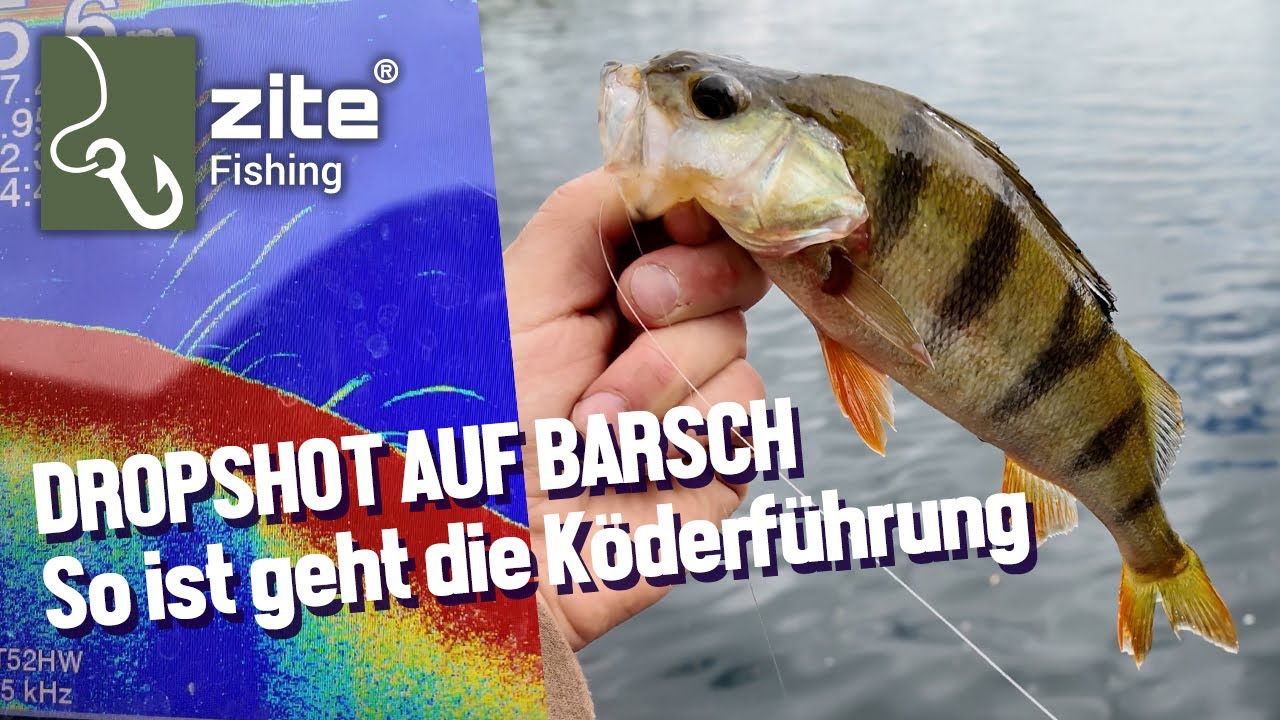 Barschangeln vom Boot: Finde die Hotspots und perfektioniere die K&ouml;derf&uuml;hrung mit dem Drop Shot Rig