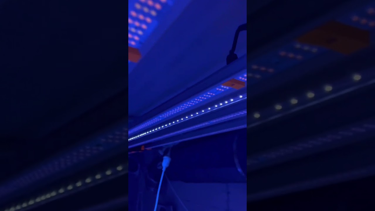 Check out this awesome Supplemental Light Bar! Perfect for enhancing your indoor growing.