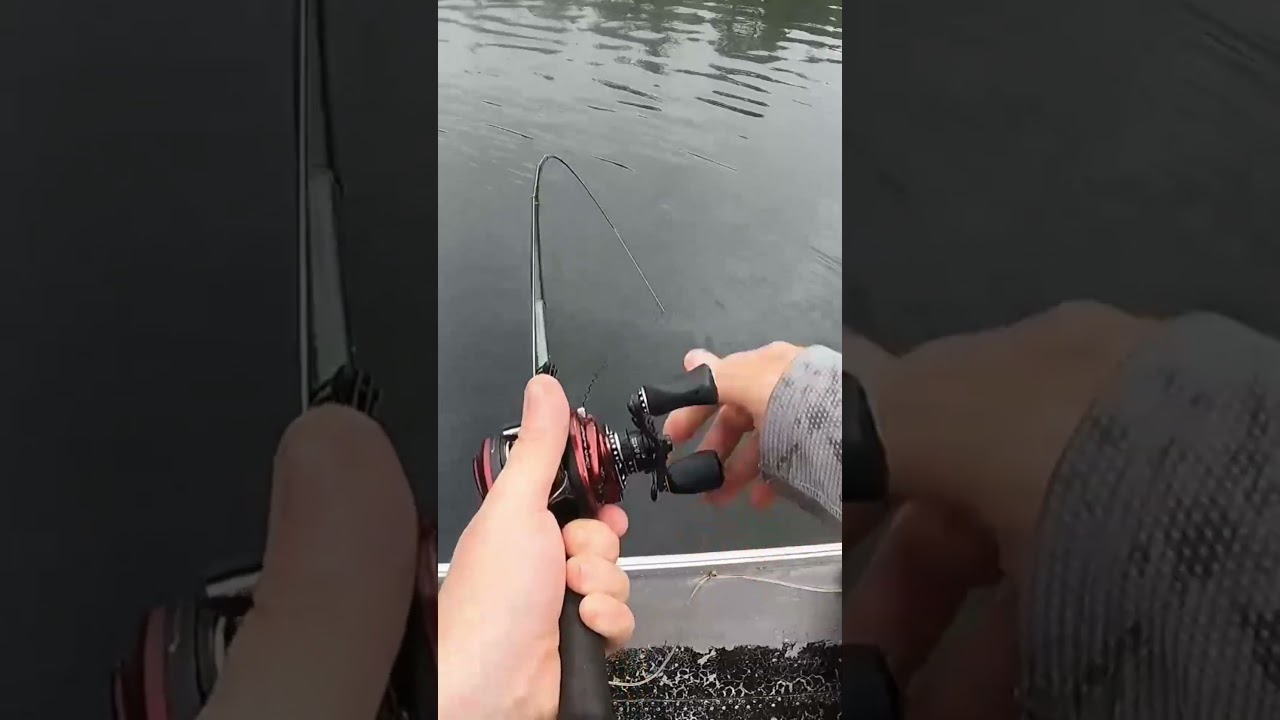 Ontario bass cast to catch #7  #bassfishing #fishing #lake #fish #bass #largemouthbass