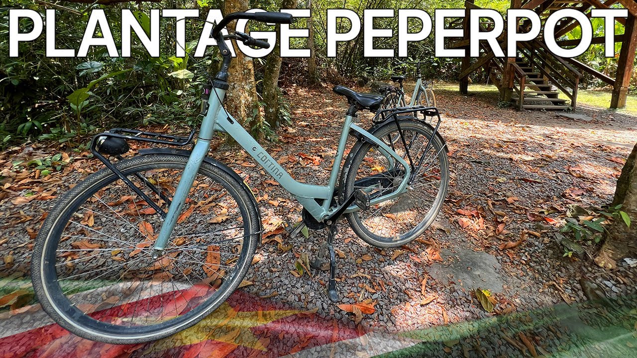 Peperpot Nature Park bike tour