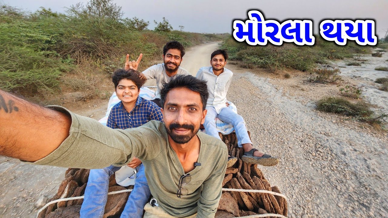 મોરલા થયા | ડુંગર માં છાણા ભરવા | માલધારી નેસ | JSK Life 982