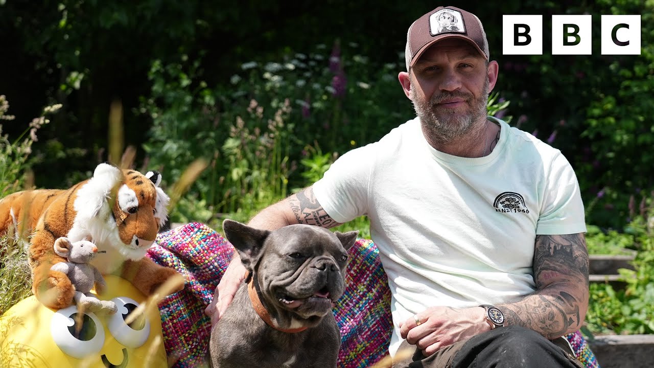 Bedtime Stories | Tom Hardy reads 'I Am A Tiger' | CBeebies