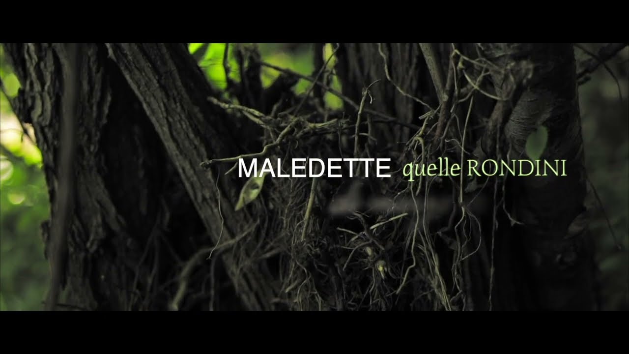 MARSURA (official videoclip)