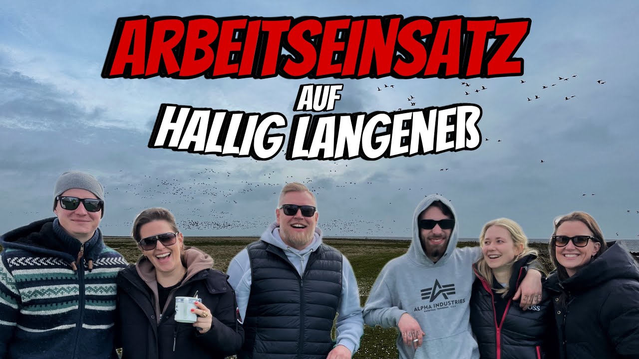 Schaffen wir es rechtzeitig❓ Arbeitseinsatz Huus Hannchen | Projekt Ferienhaus | Hallig Langeneß