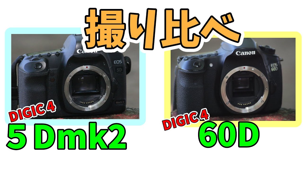 【撮り比べ】キヤノン EOS 5Dmk2 vs 60D APS-Cでフルサイズ にどこまで迫れるか？