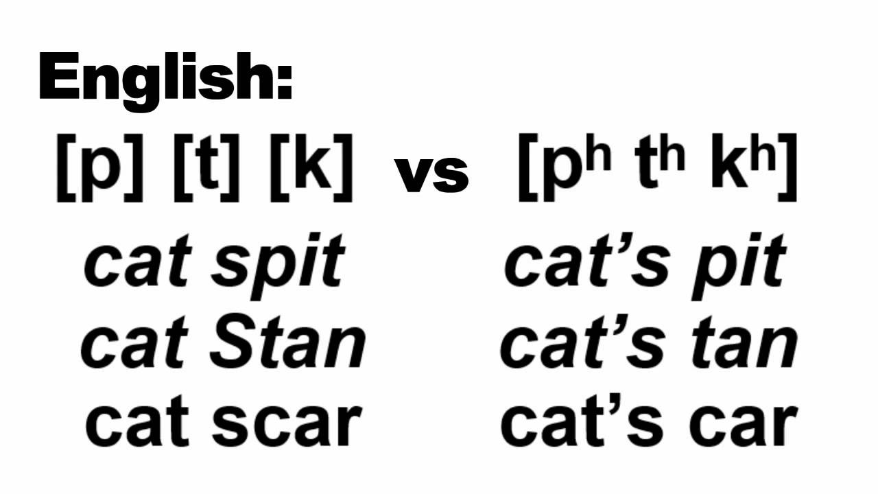 French Video 1: The French Consonants and the IPA