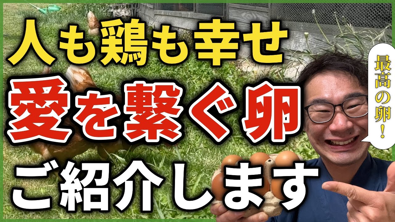純日本産『愛を繋ぐ卵』