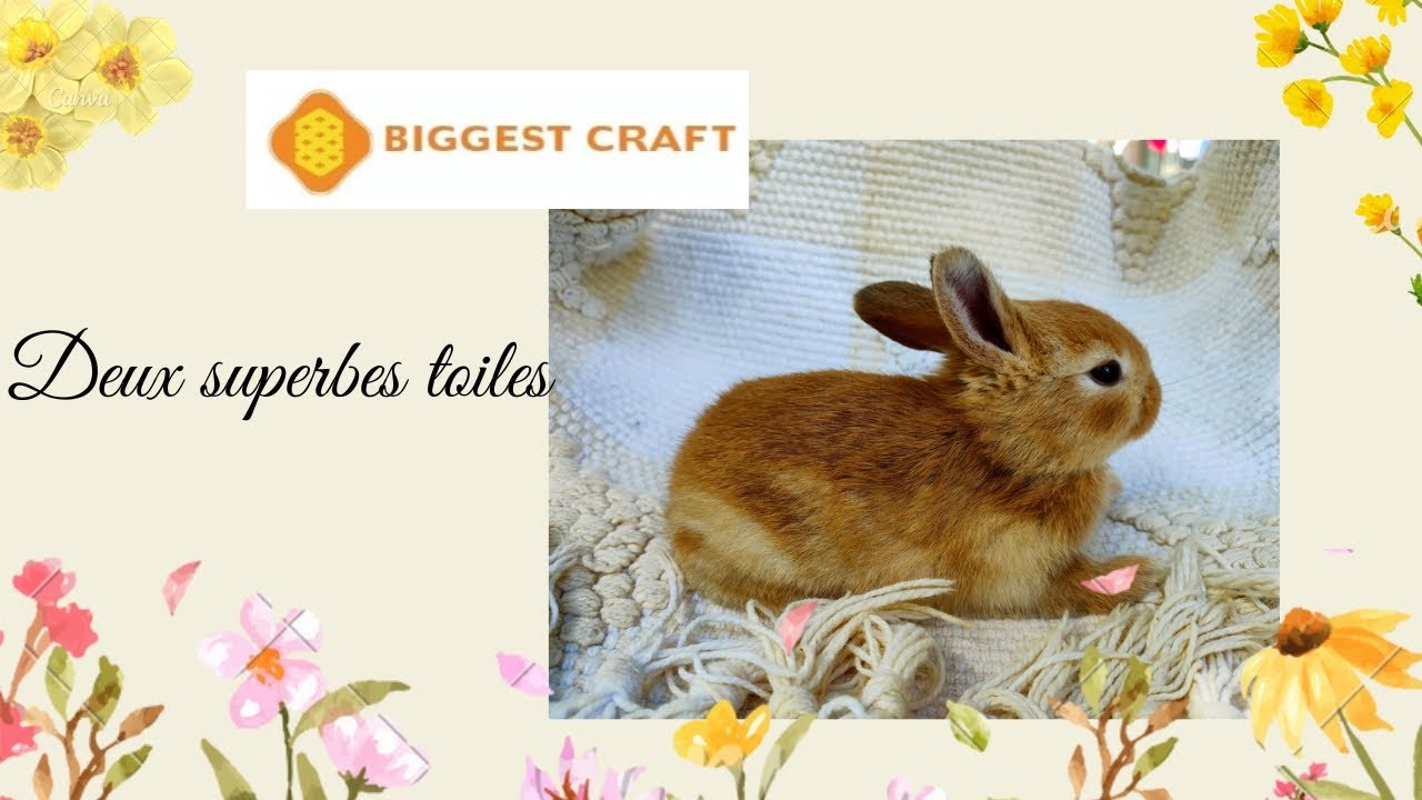 Unboxing #biggestcraft #pointdecroix #crossstitch #stampedcrossstitch