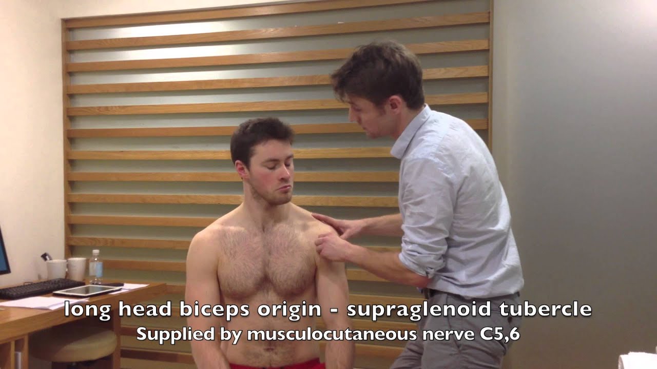 Shoulder examination part 2: inspection and palpation