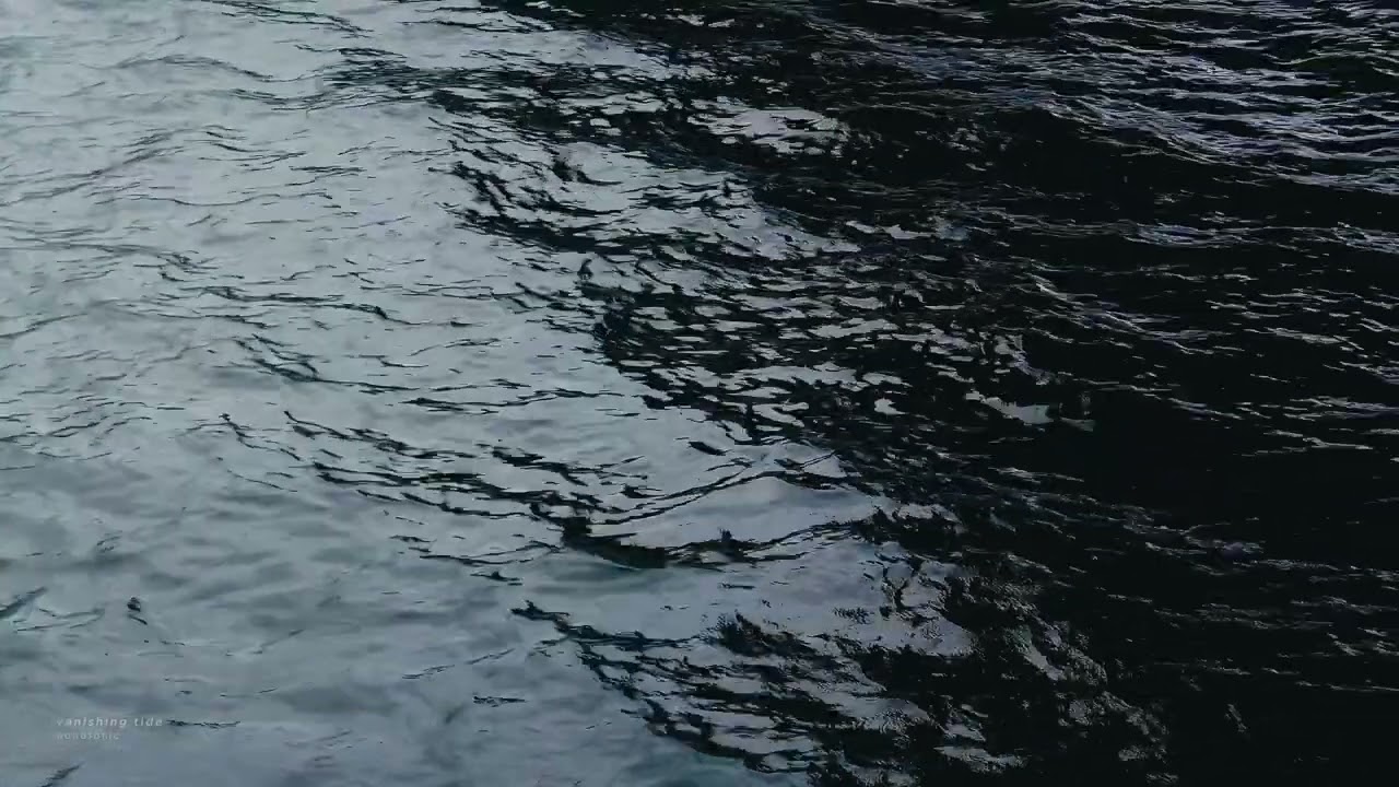 vanishing tide
