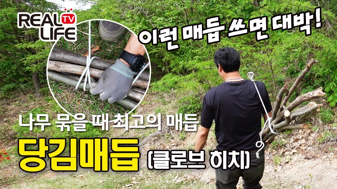 나무 묶기에 최적 매듭법 (클로브 히치 매듭, 당김 매듭, 말뚝매듭) - 응용할 곳 많은 매듭법 꼭 숙지하세요!