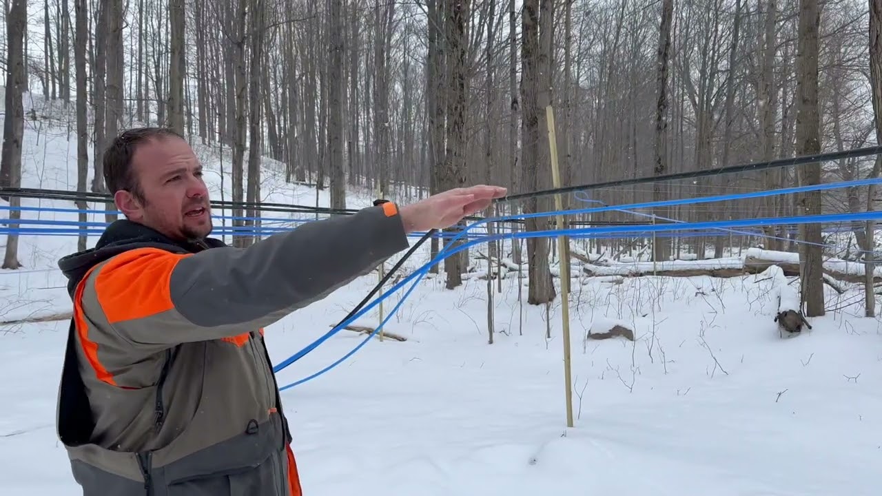 Maple Tubing explained by a Professional