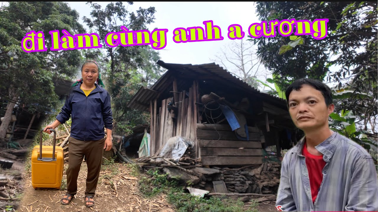 chị chẳm mẹ đơn thân ở nhờ chuồng dê, đi làm thuê cùng anh a cương thợ hát nhà hưng thuận