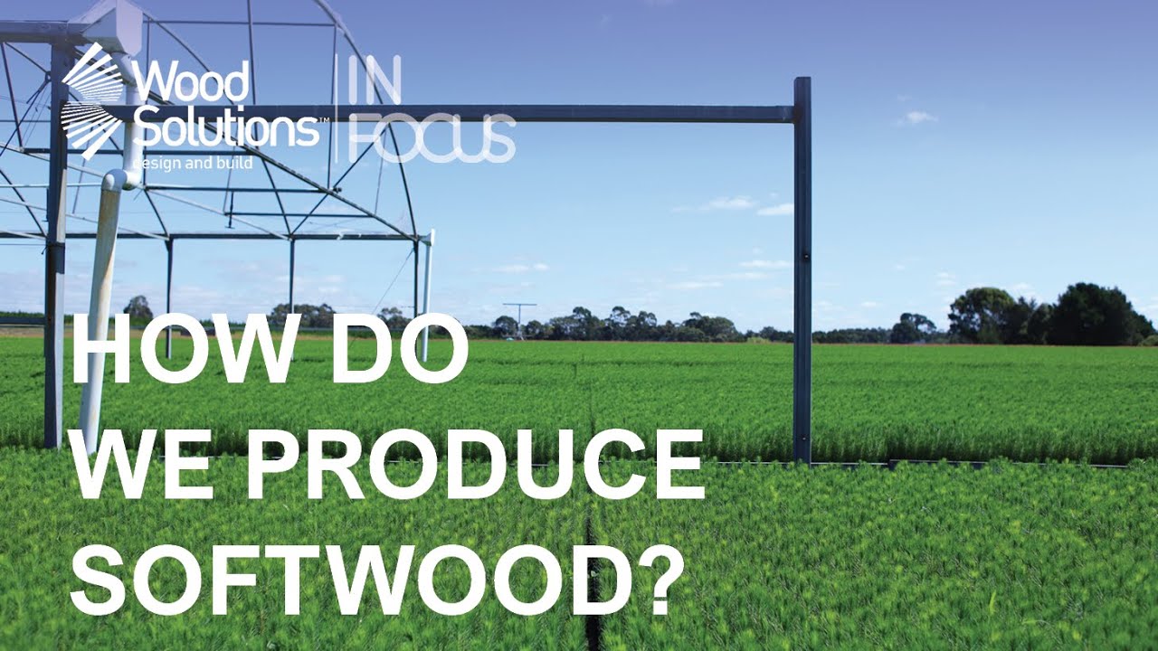 How Do We Produce Softwood?