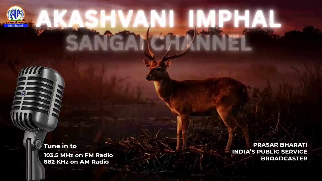 AIR IMPHAL SANGAI Live Stream