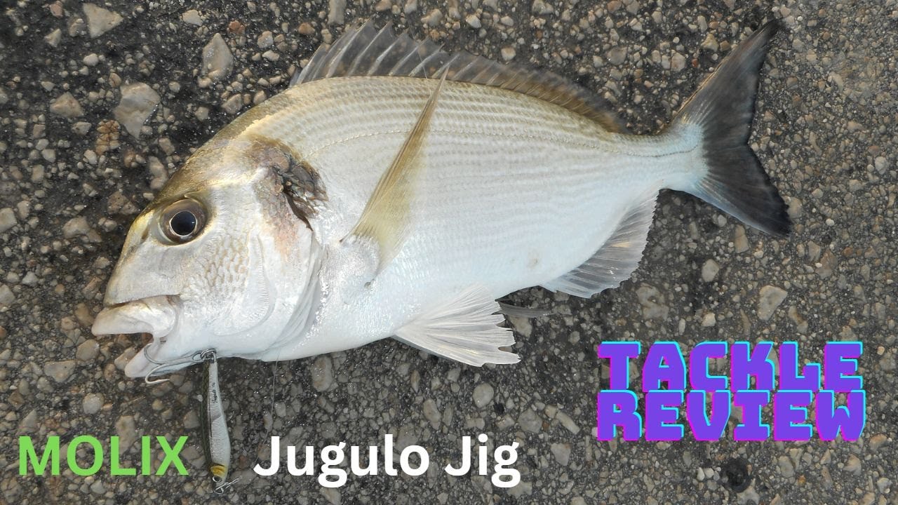 Recensione Molix Jugulo Casting jig