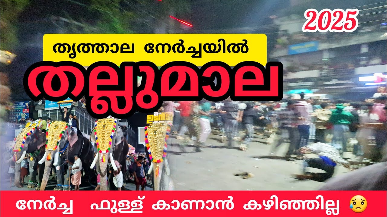 തൃത്താല നേർച്ച വരവിനിടക്ക് തല്ലുമാല😥ഓടി രക്ഷപെട്ടു #nercha #thrithala #kerala #viralvideo