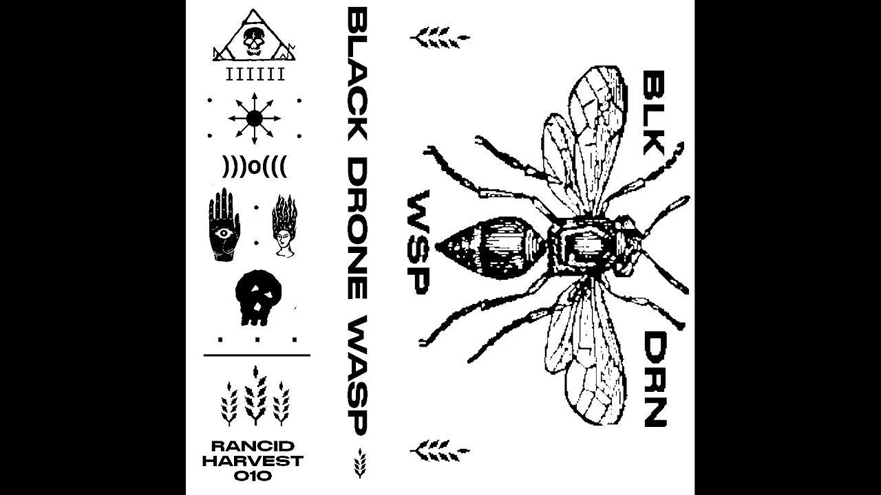 Black Drone Wasp 1