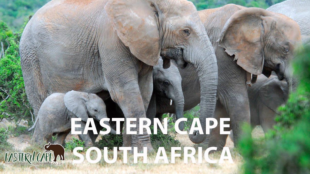 Eastern Cape - South Africa