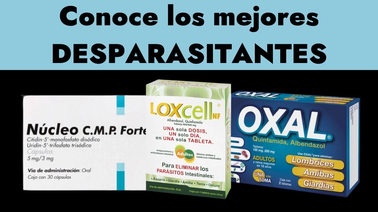 Medicamentos para desparasitarse, &iquest;Cu&aacute;les son los mejores? | Gu&iacute;a PLM