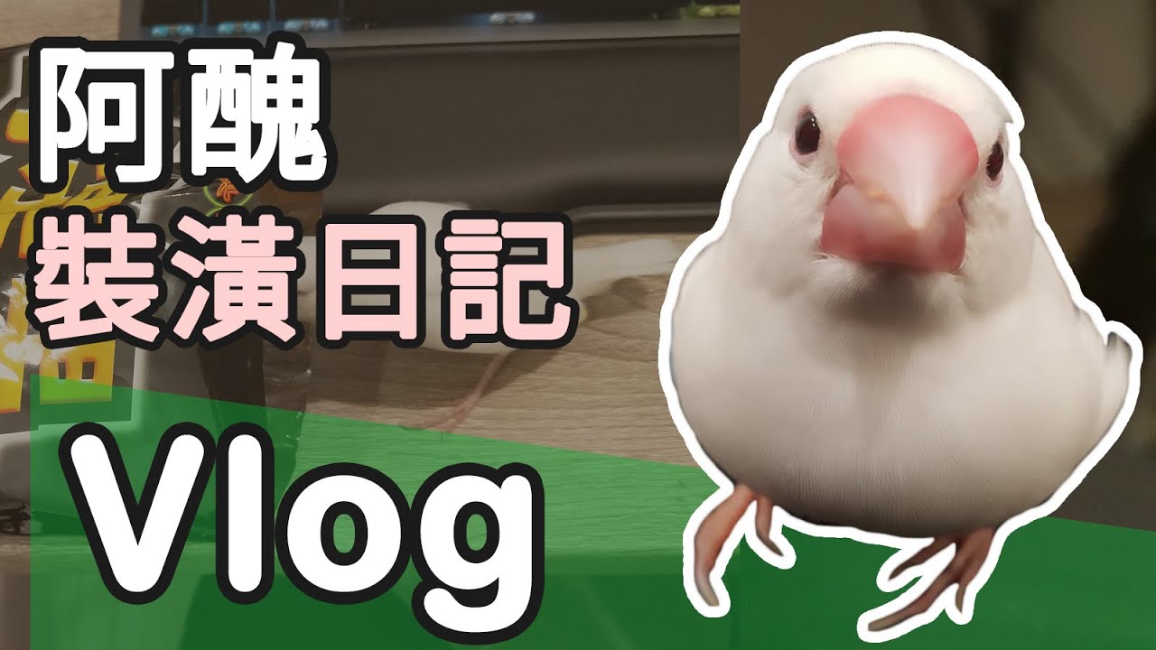 【Vlog】久違的鳥片 feat.李迅.阿醜
