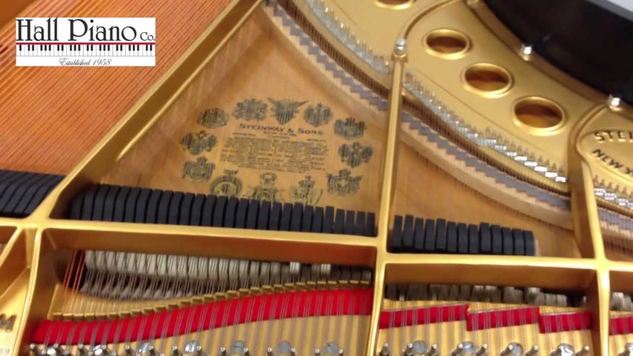 Circus Galop (HD) Live Recording On A Steinway Grand