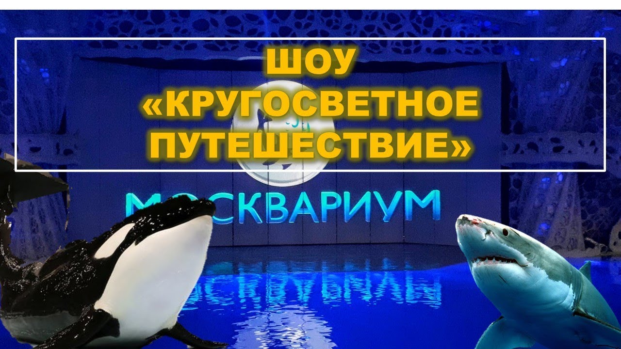 МОСКВАРИУМ. ШОУ «КРУГОСВЕТНОЕ ПУТЕШЕСТВИЕ».Oceanarium in Moscow
