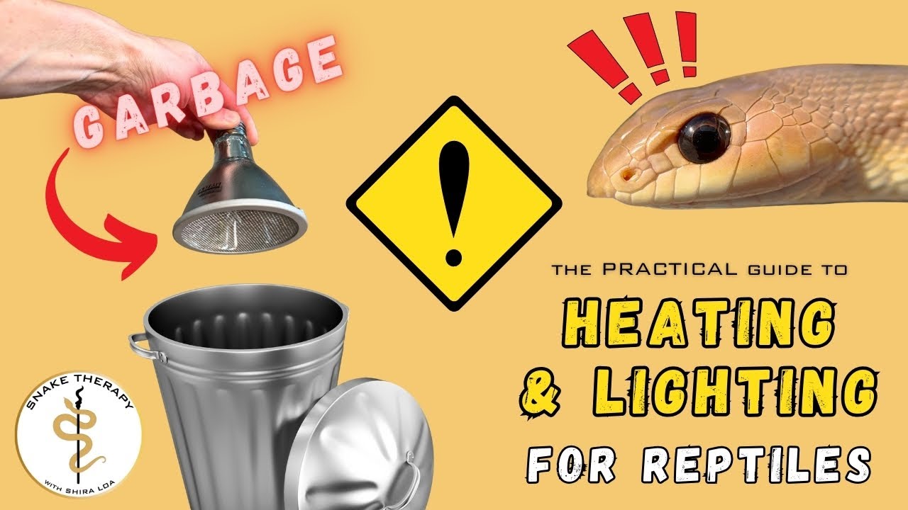 The Practical Guide to Heat & Light for Reptiles- and Why Deep Heat Projectors Are Trash