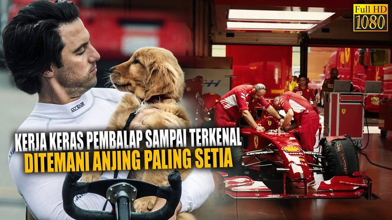 🔴PEMBALAP PALING BERBAKAT DARI NOL SAMPAI TERKENAL DITEMANI ANJING PALING SETIA | CERITA ALUR FILM