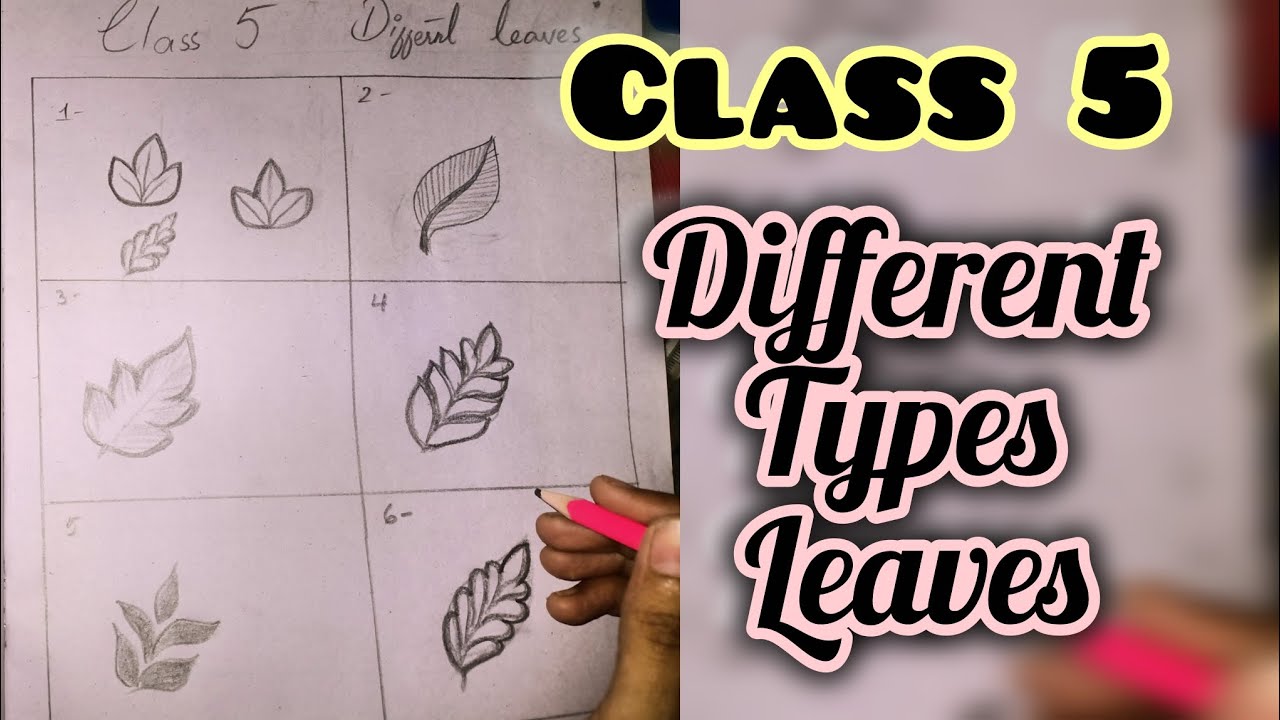 Class 5 | Different Types of Leaves | Easy Mehndi Practice for Beginners