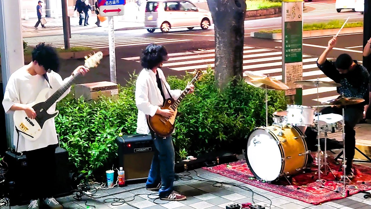BUXUS  『 Stradivarius Ocean Front 』