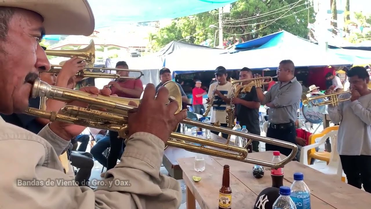 😱😱INCREÍBLE 4 BANDAS INTERPRETANDO MALINALTEPEC QUERIDO - Qué estilo les gusta más ??😱😱