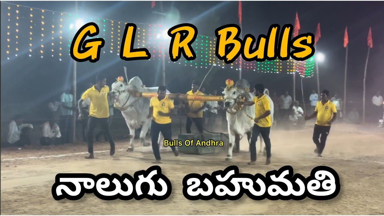 నాదెండ్ల గ్రామం న్యూ కేటగిరి విభాగంలో నాలుగు బహుమతి సాధించిన G L R Bulls , గొట్టిపాడు