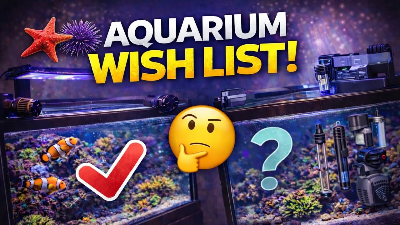 Fluval Sea Saltwater Aquarium Wishlist #fishkeepinghobby #saltwater aquarium