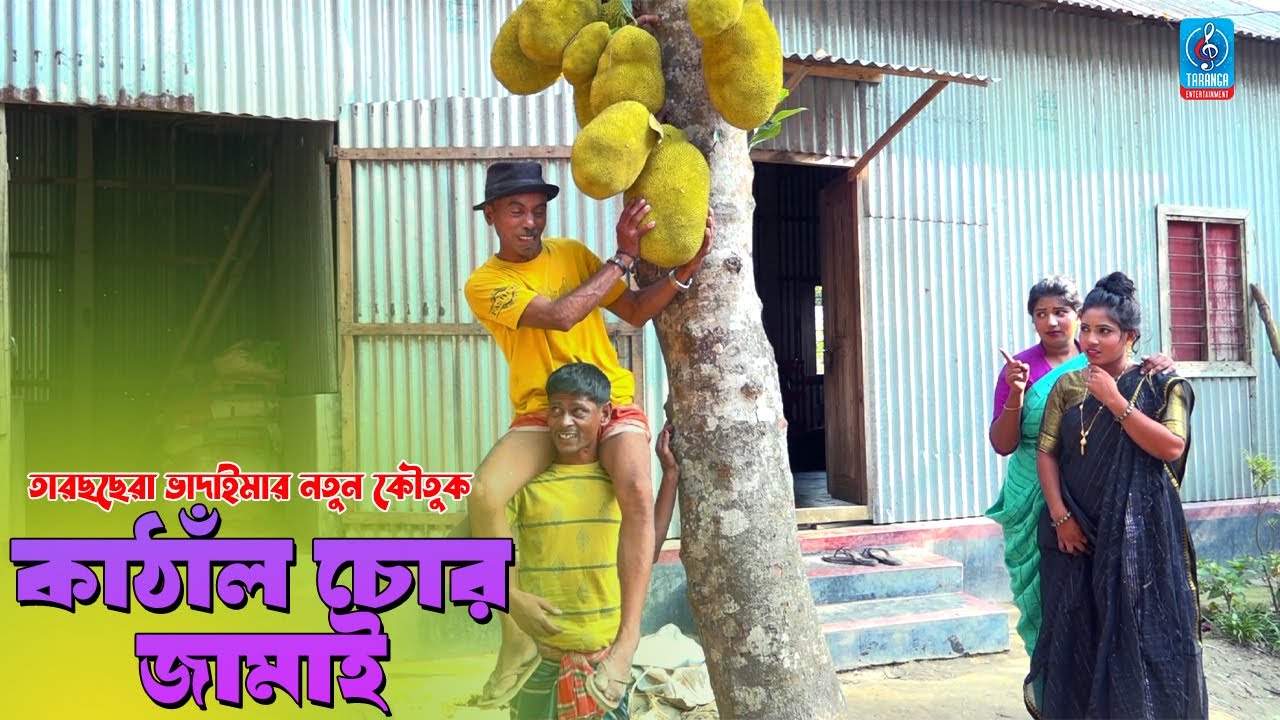 কাঠাঁল চোর জামাই | তারছেড়া ভাদাইমার নতুন কৌতুক | Kathal chor jamai | Sona Miah New koutuk |