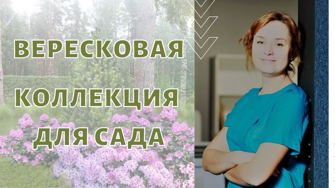 Вересковая коллекция для сада