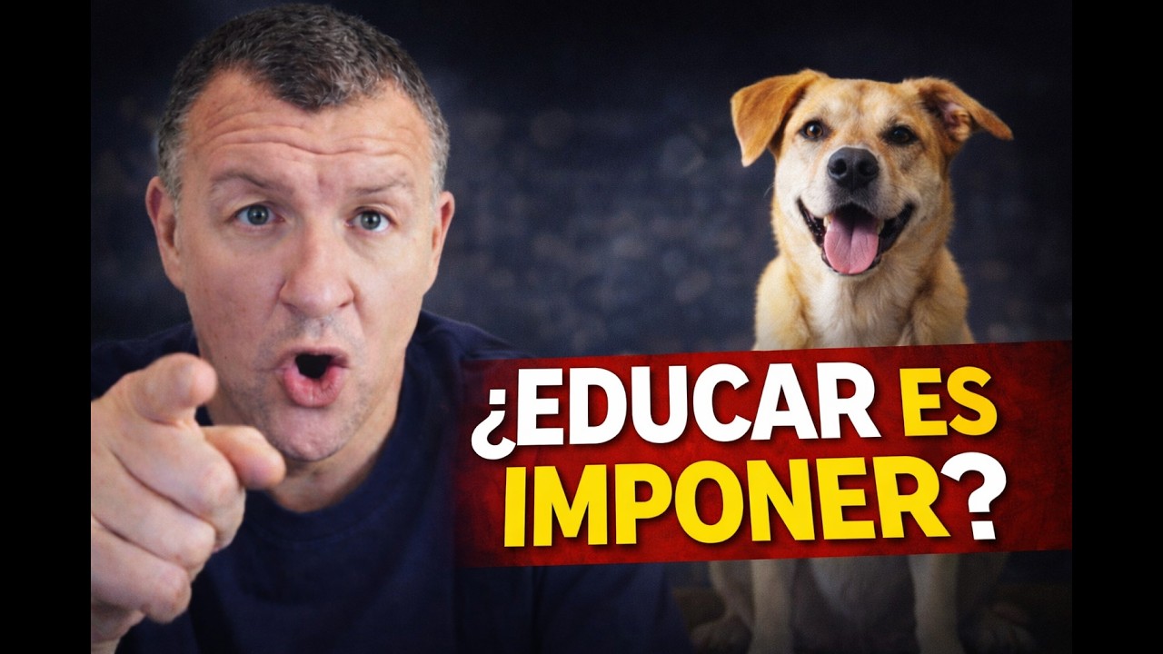 ¿Educar es imponer? El nuevo discurso en la educación canina