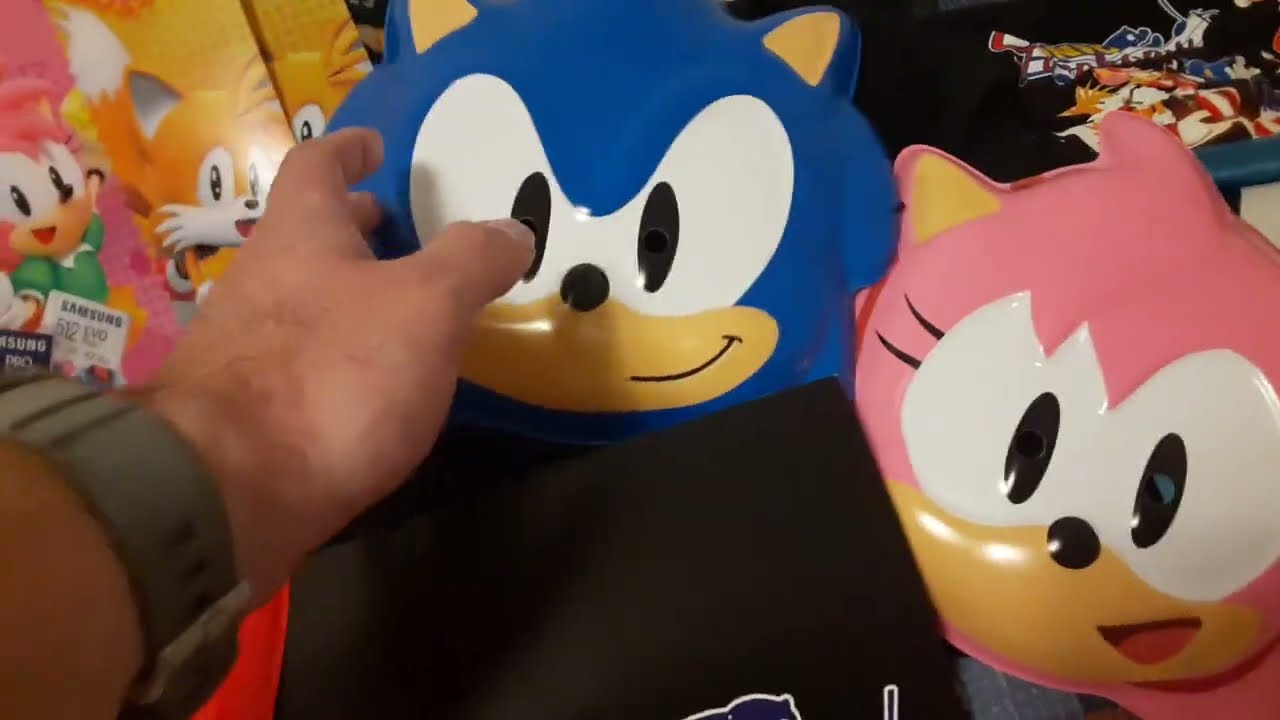 Sonic CD 30th Anniversary Special